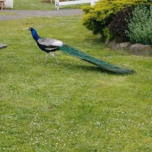 Meet your Posher, Terry